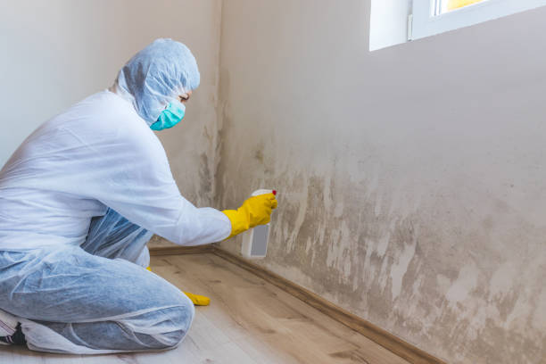 Licensed Commercial Mold Remediation service in Sanford, NC - WQB Mold Removal