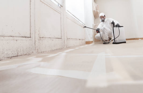 24/7 Emergency Commercial Mold Remediation experts in Sanford, NC