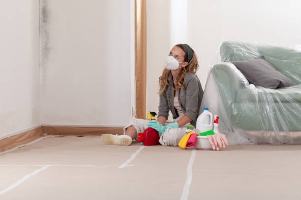 Reliable Commercial Mold Remediation contractor in Sanford, NC by WQB Mold Removal